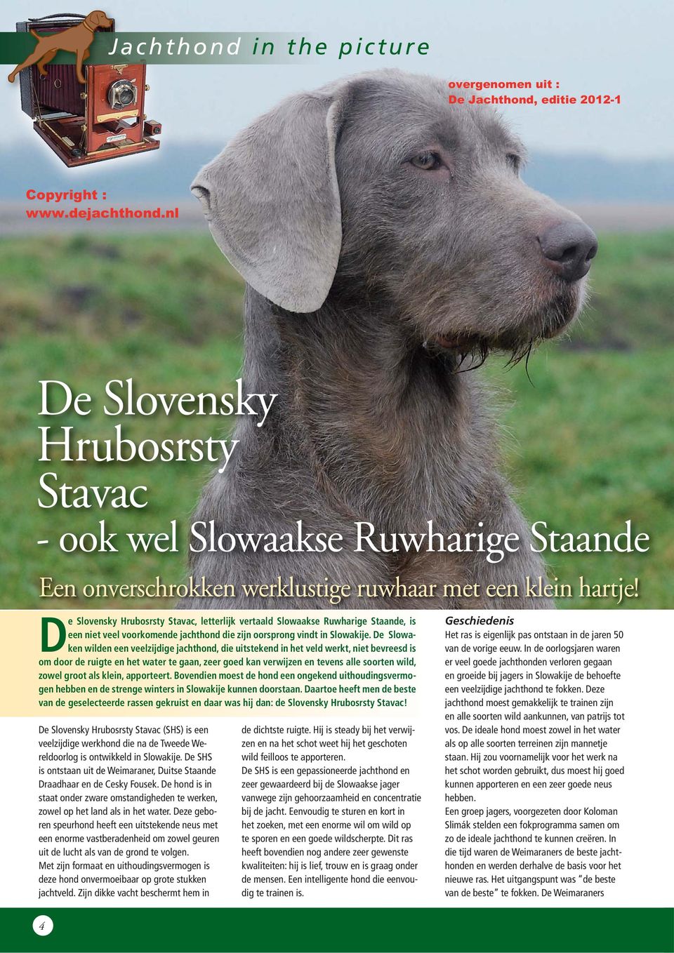 De Slovensky Hrubosrsty Stavac - PDF Free Download