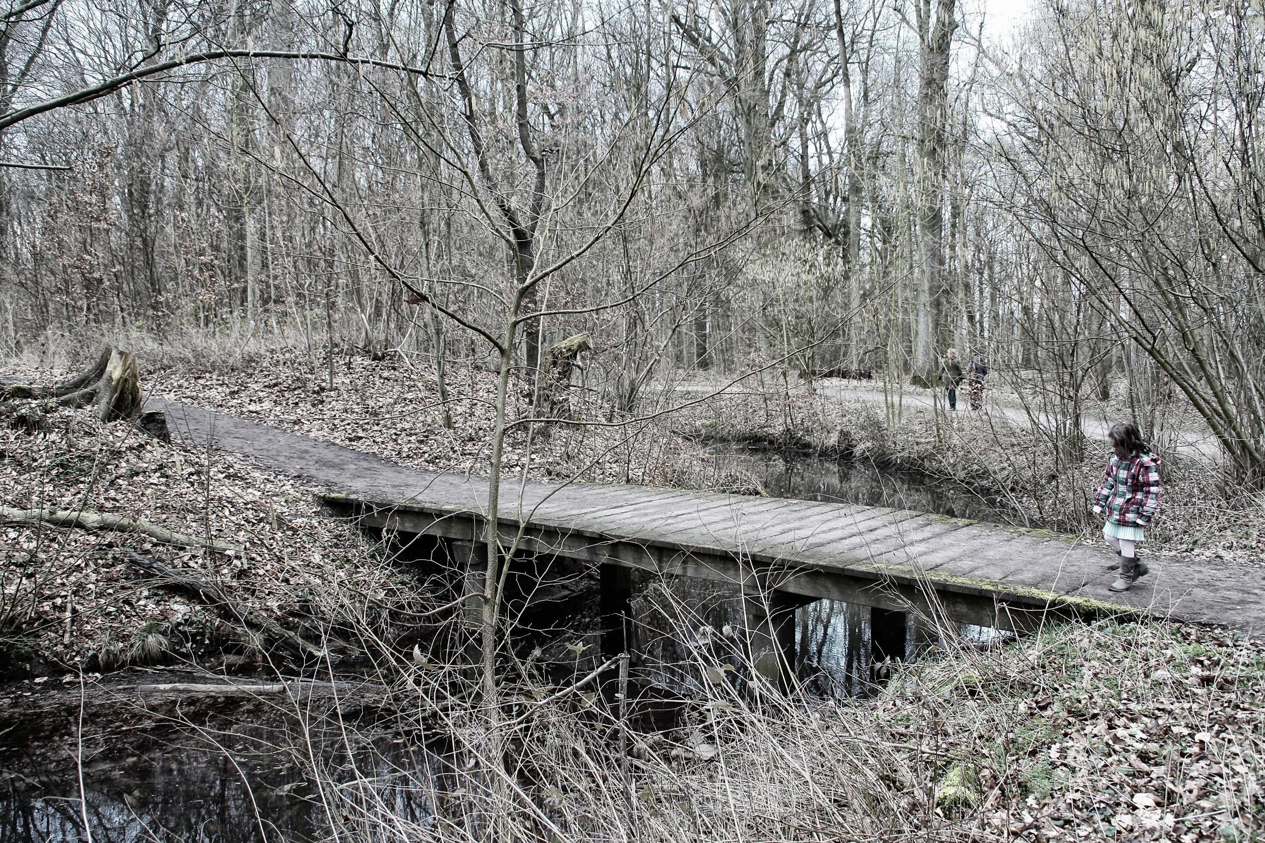 Engelse Werk Concept van de bouwkundige elementen