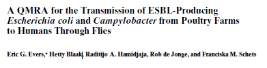 Huidige kennis over exposure via pluimvee Exposure van NL mens als geheel aan ESBLs: