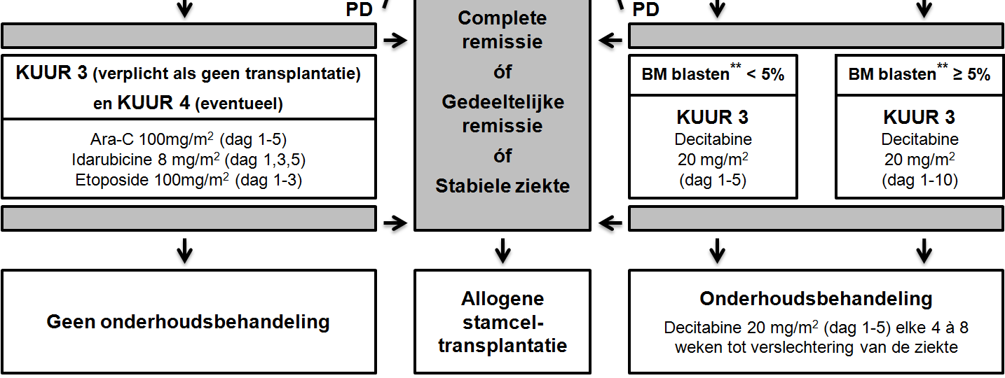 Bijlage 3 Behandelschema Verklaring afkortingen: - PD * : Verslechtering van de ziekte.