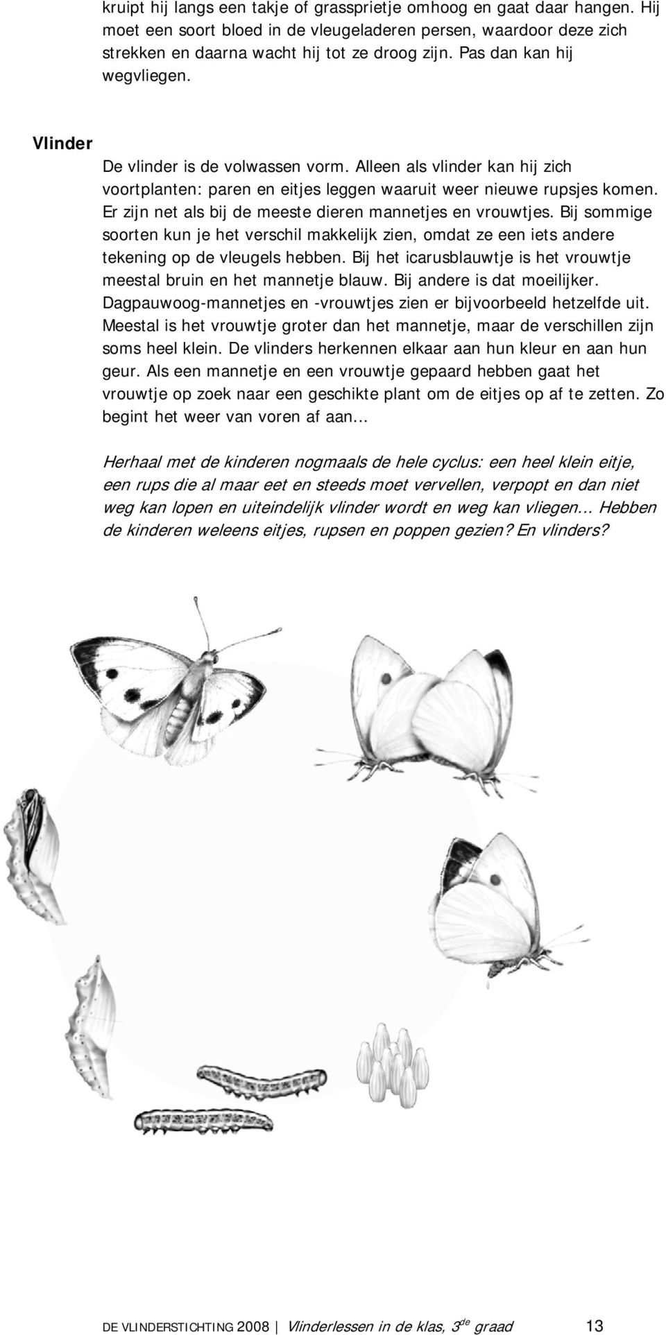 Er zijn net als bij de meeste dieren mannetjes en vrouwtjes. Bij sommige soorten kun je het verschil makkelijk zien, omdat ze een iets andere tekening op de vleugels hebben.