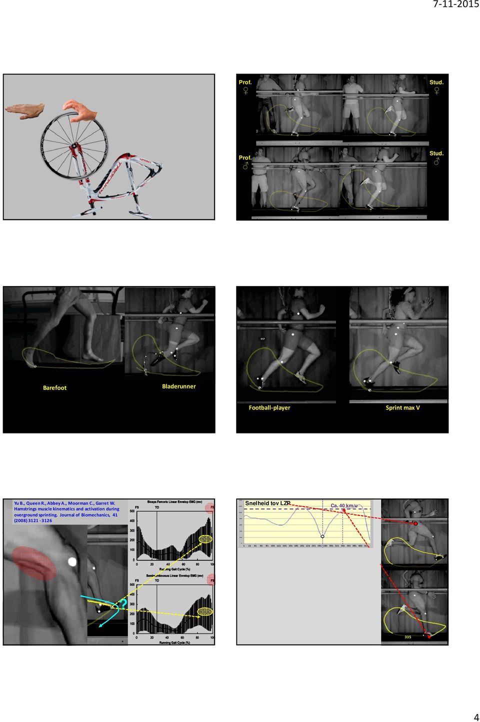 Hamstrings muscle kinematics and activation during overground sprinting.