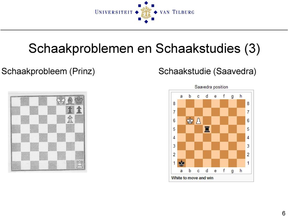 Schaakprobleem