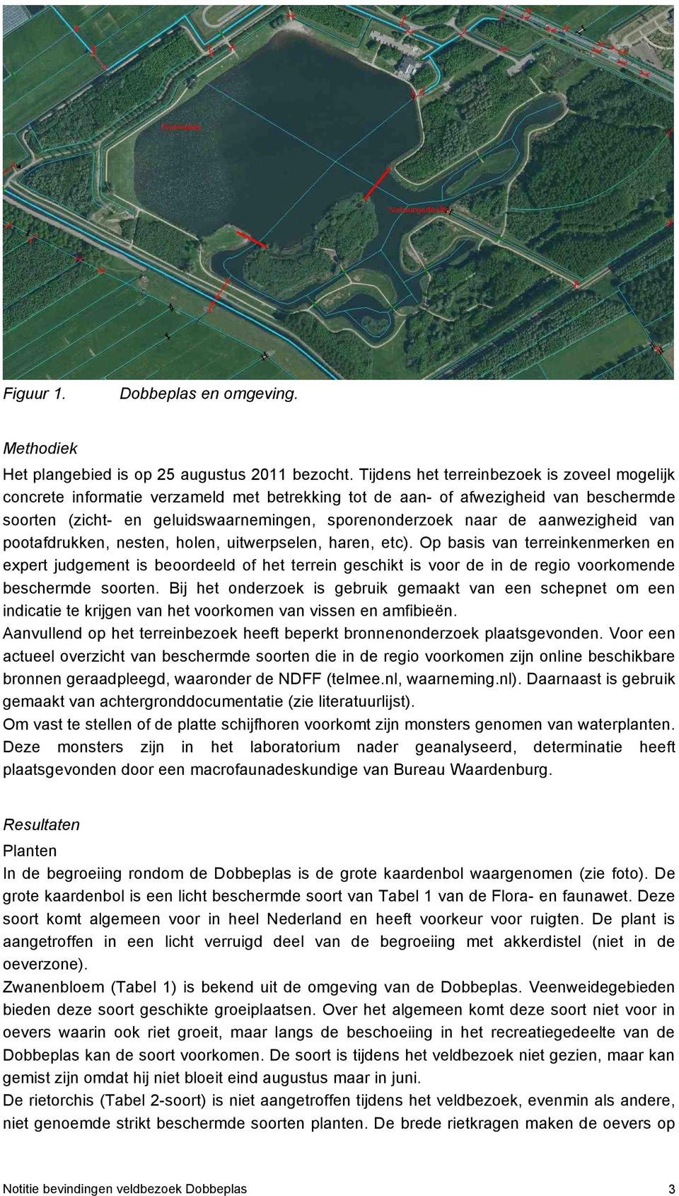 aanwezigheid van pootafdrukken, nesten, holen, uitwerpselen, haren, etc).