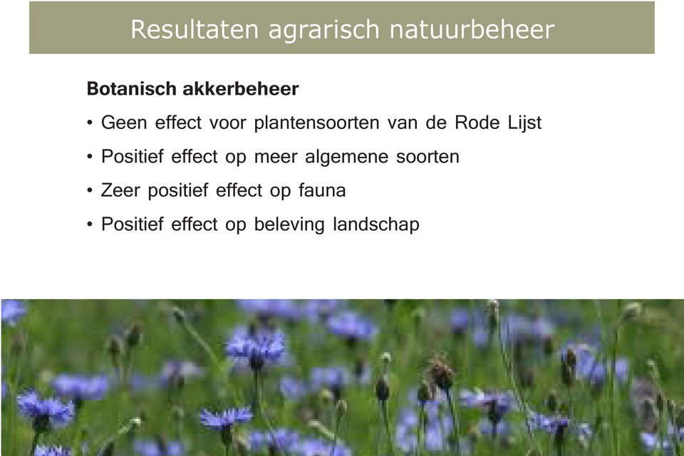 Rode Lijst Positief effect op meer algemene soorten