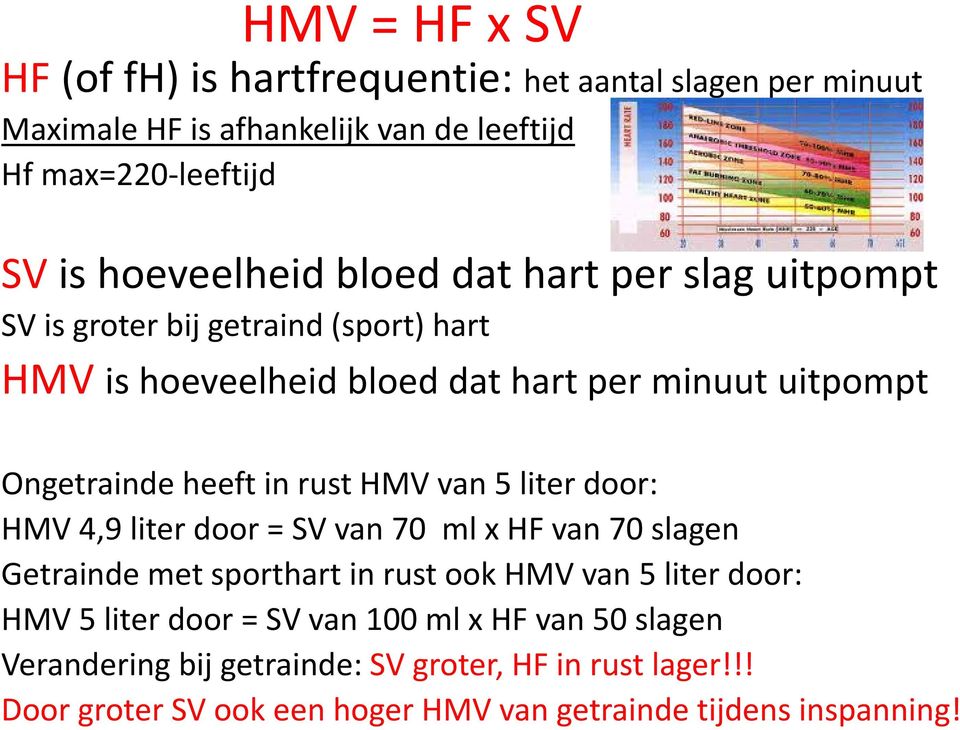 HMV van 5 liter door: HMV 4,9 liter door = SV van 70 ml x HF van 70 slagen Getrainde met sporthart in rust ook HMV van 5 liter door: HMV 5 liter door =