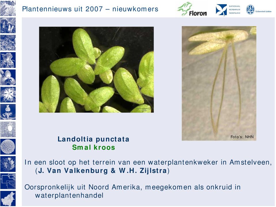 waterplantenkweker in Amstelveen, (J. Van Valkenburg & W.H.