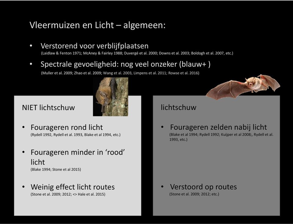 2016) NIET lichtschuw Fourageren rond licht (Rydell 1992, Rydell et al. 1993, Blake et al 1994, etc.