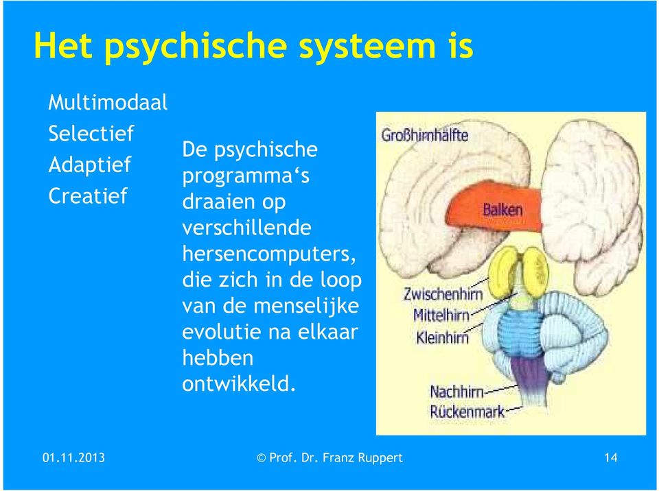 hersencomputers, die zich in de loop van de menselijke