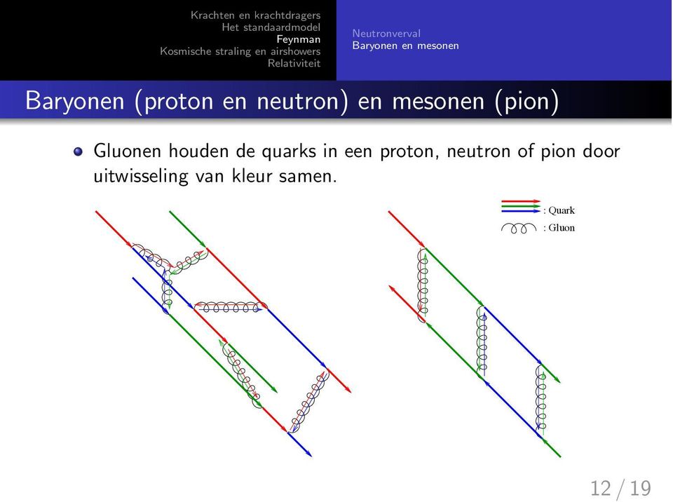 houden de quarks in een proton, neutron of pion