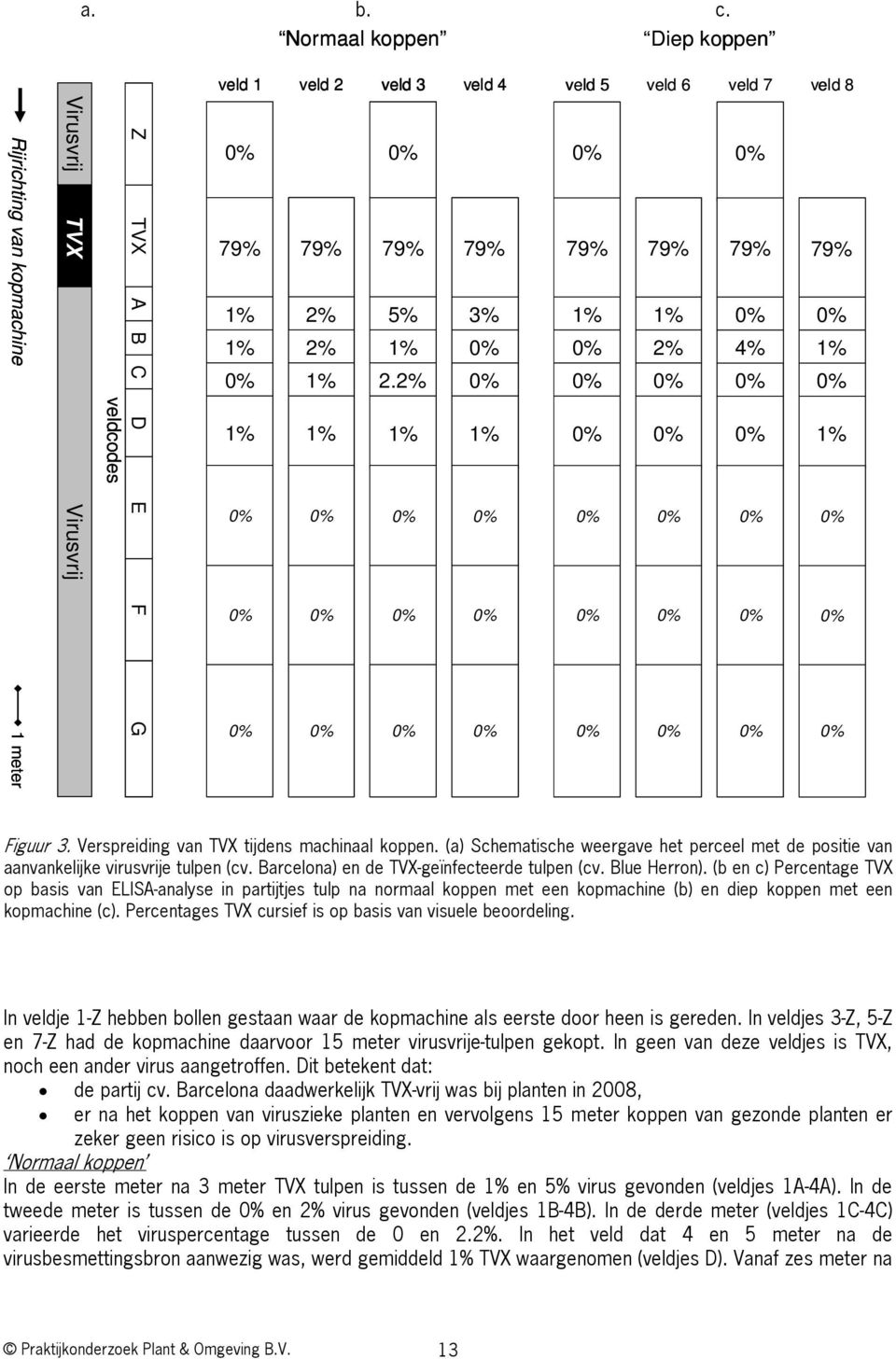 2% 79% 3% 79% 79% 2% 79% 4% 79% Figuur 3. Verspreiding van TVX tijdens machinaal koppen. (a) Schematische weergave het perceel met de positie van aanvankelijke virusvrije tulpen (cv.