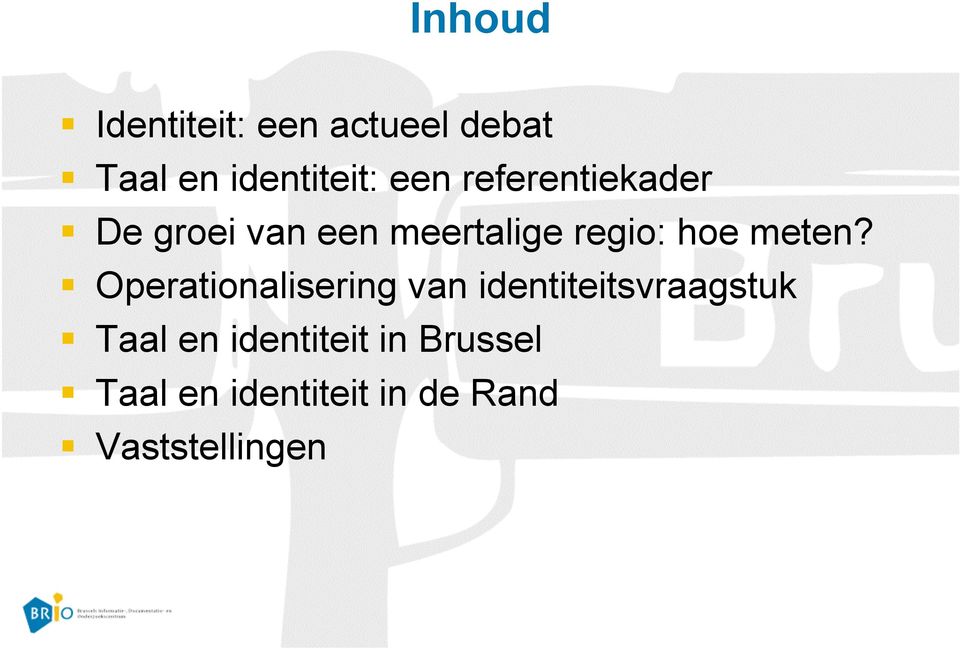 Operationalisering van identiteitsvraagstuk Taal en