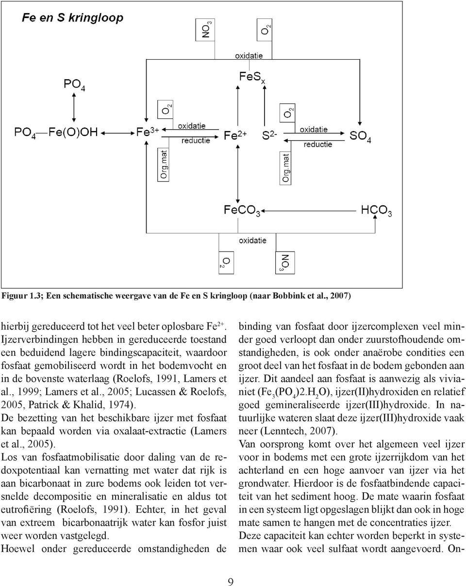 al., 1999; Lamers et al., 2005; Lucassen & Roelofs, 2005, Patrick & Khalid, 1974). De bezetting van het beschikbare ijzer met fosfaat kan bepaald worden via oxalaat-extractie (Lamers et al., 2005).