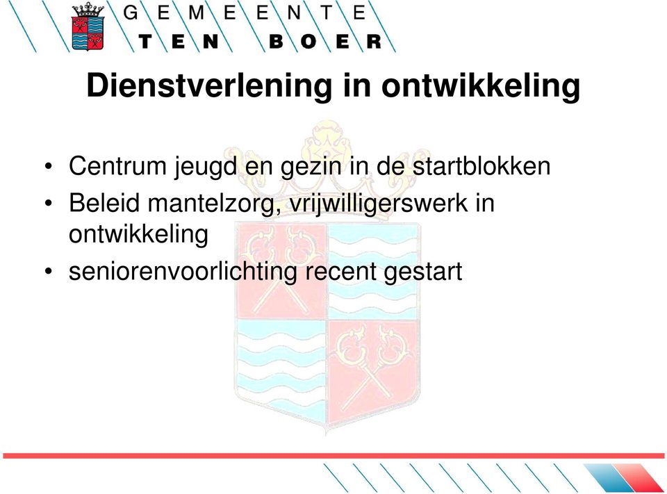 mantelzorg, vrijwilligerswerk in