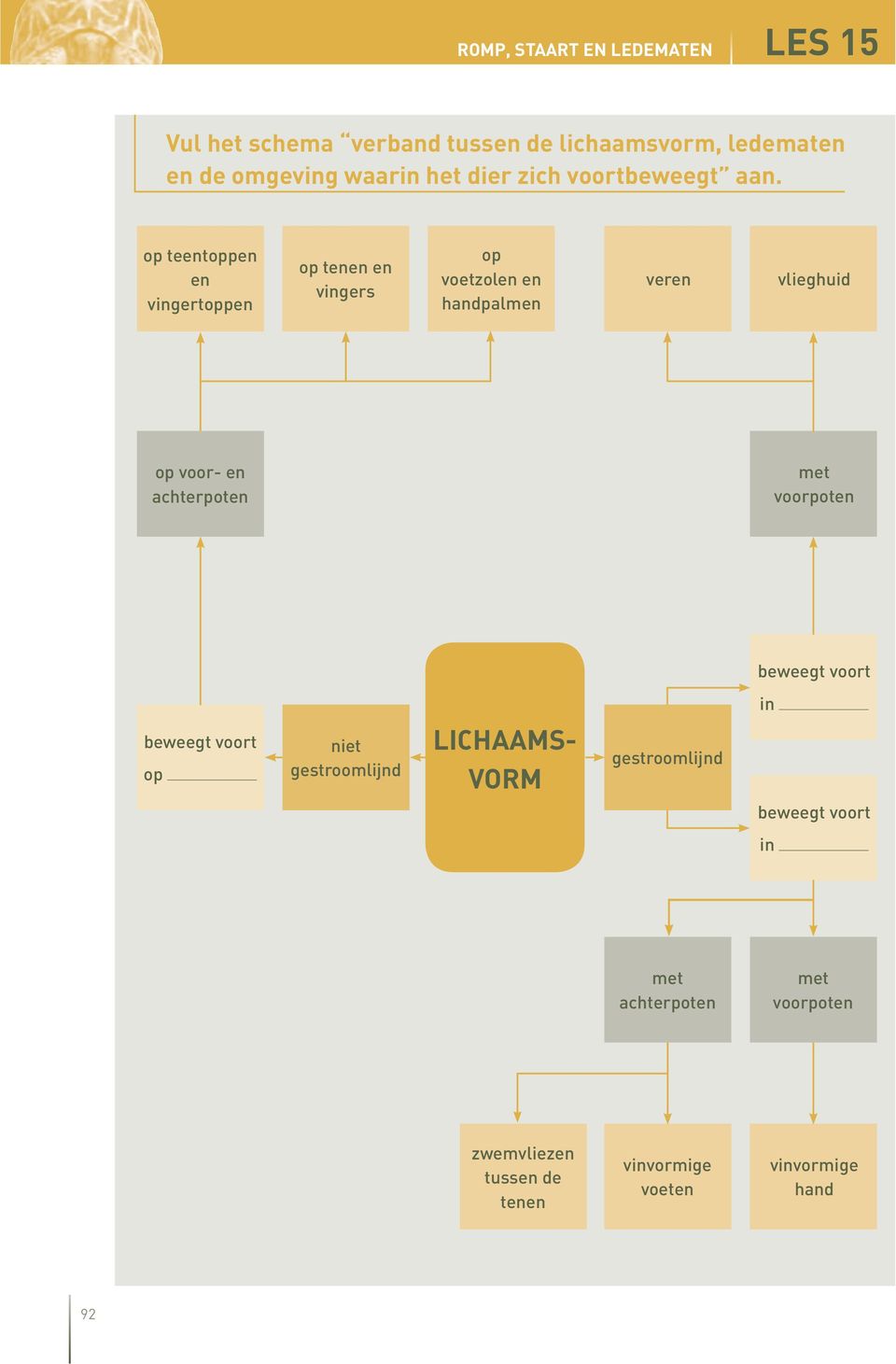 op teentoppen en vingertoppen op en vingers op voetzolen en handpalmen veren vlieghuid op voor- en