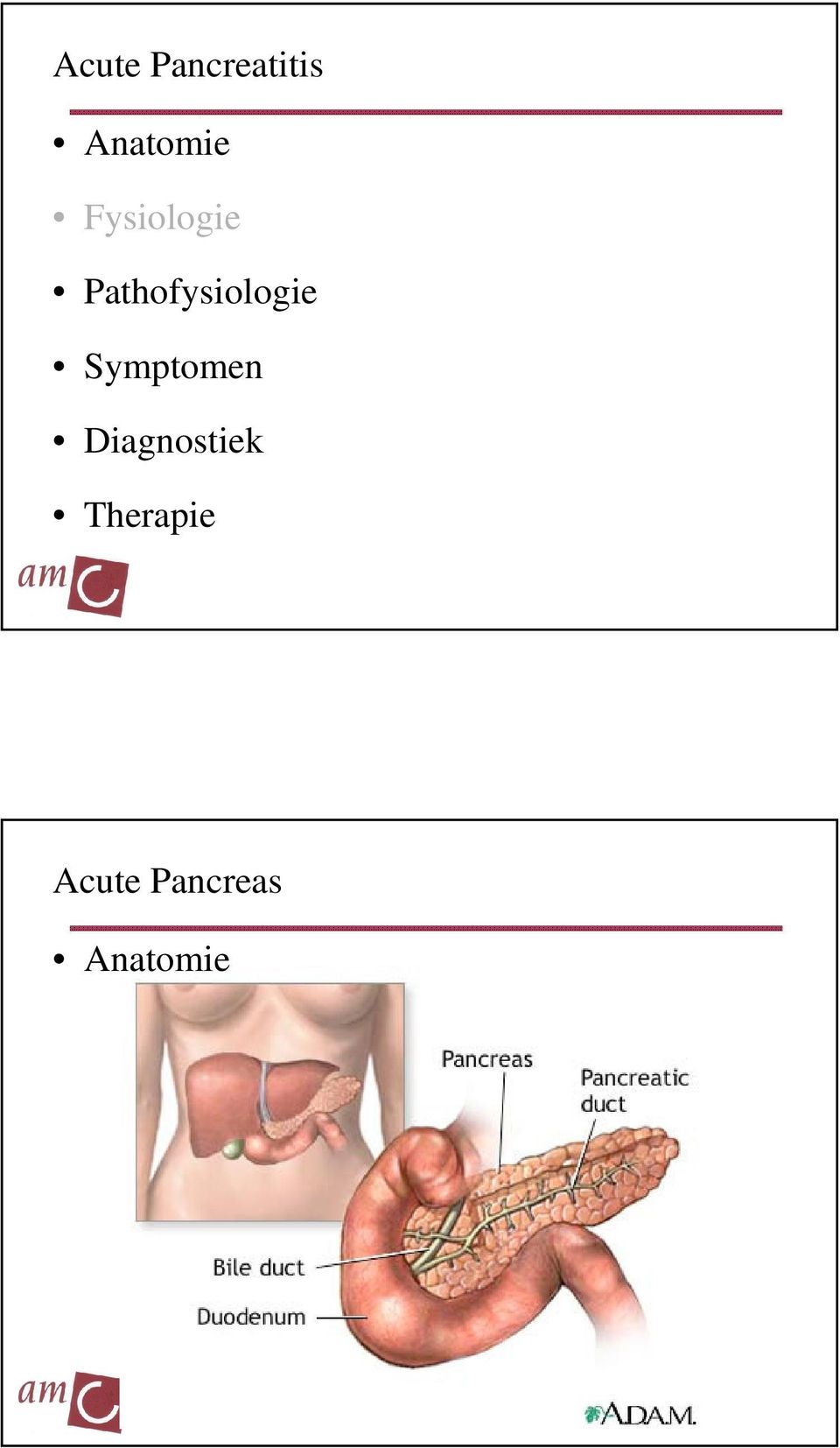 Symptomen Diagnostiek