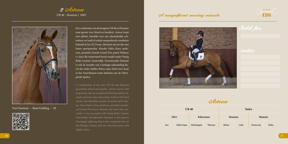 Moeder nafra (keur, preferent, prestatie) bracht grand Prix paard Watteau (v. Jazz) die momenteel furore maakt onder young rider Lisanne Zoutendijk.