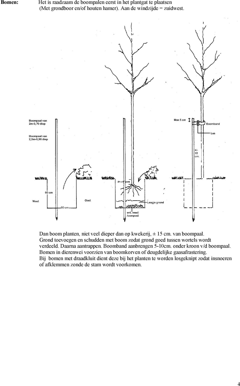 Grond toevoegen en schudden met boom zodat grond goed tussen wortels wordt verdeeld. Daarna aantrappen. Boomband aanbrengen 5-10cm.