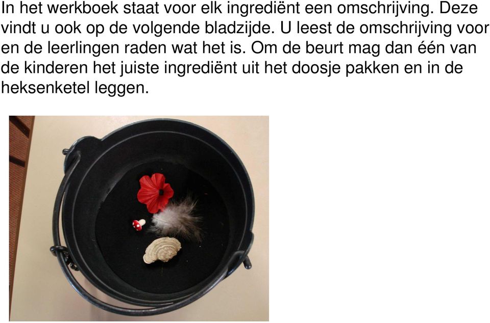 U leest de omschrijving voor en de leerlingen raden wat het is.