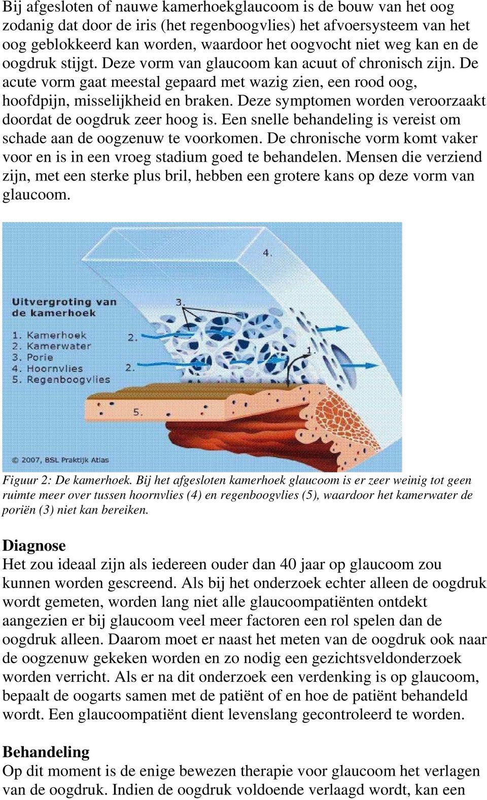 Deze symptomen worden veroorzaakt doordat de oogdruk zeer hoog is. Een snelle behandeling is vereist om schade aan de oogzenuw te voorkomen.