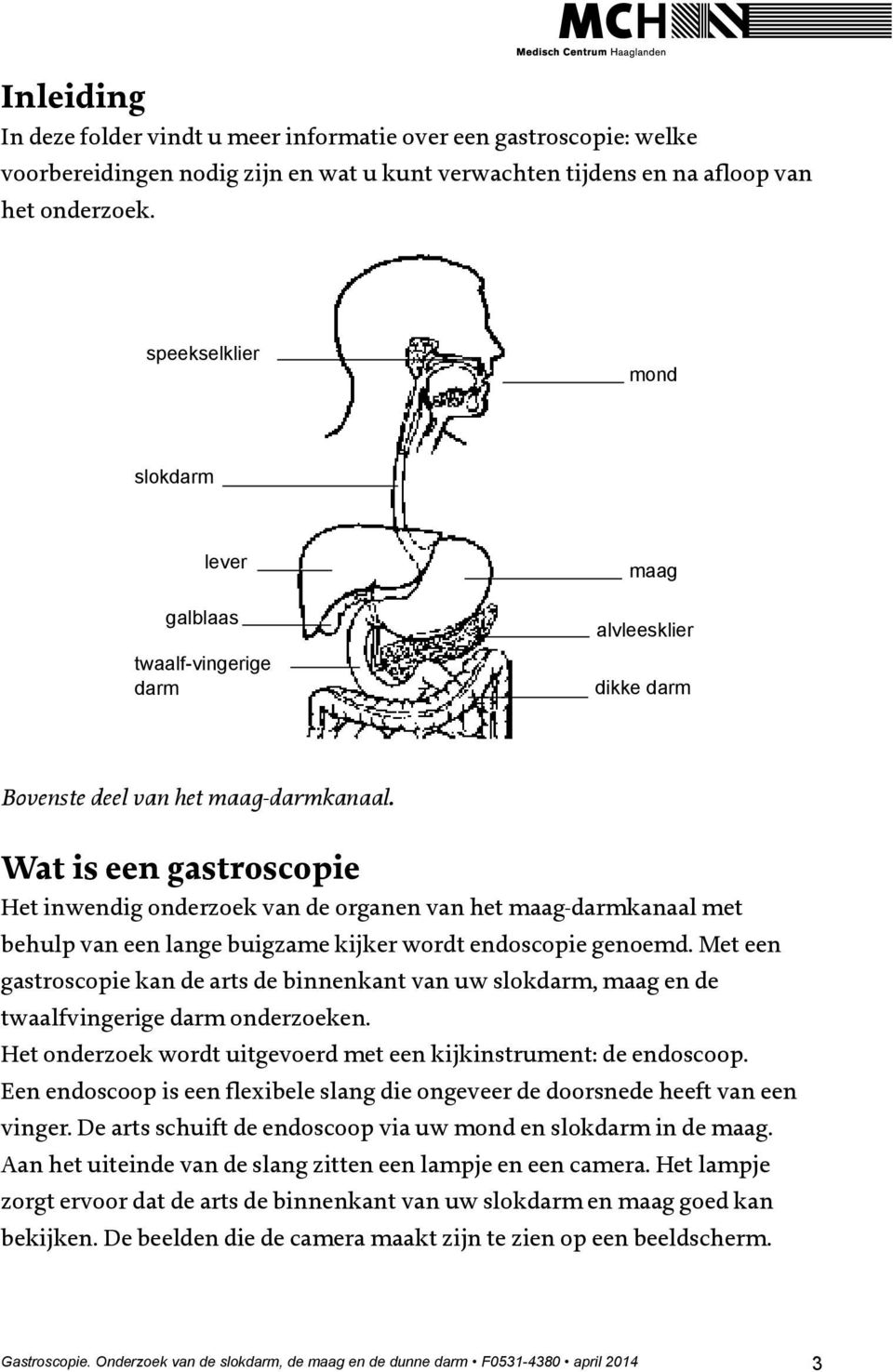 Wat is een gastroscopie Het inwendig onderzoek van de organen van het maag-darmkanaal met behulp van een lange buigzame kijker wordt endoscopie genoemd.