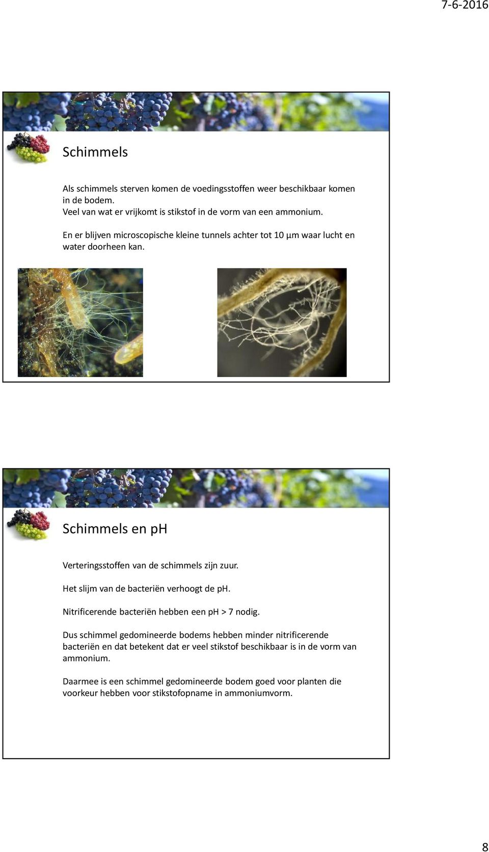 Het slijm van de bacteriën verhoogt de ph. Nitrificerende bacteriën hebben een ph > 7 nodig.