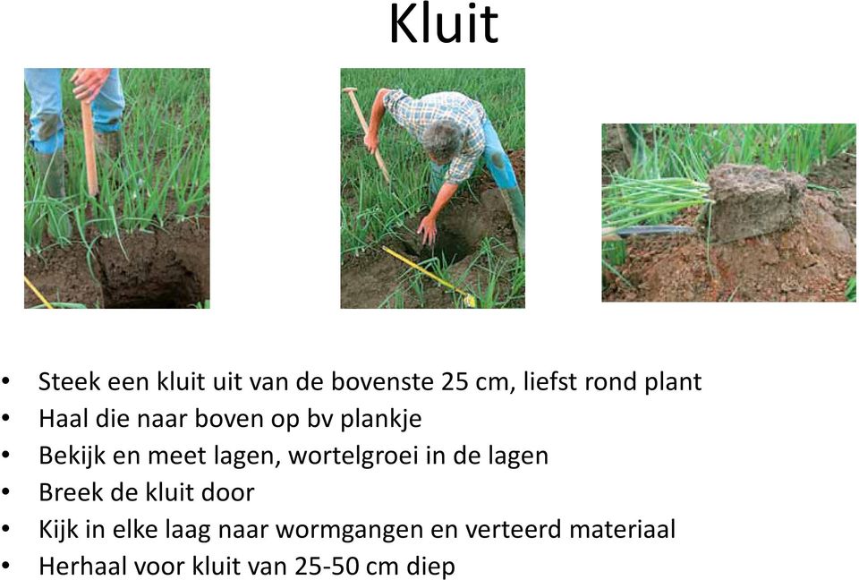 wortelgroei in de lagen Breek de kluit door Kijk in elke laag