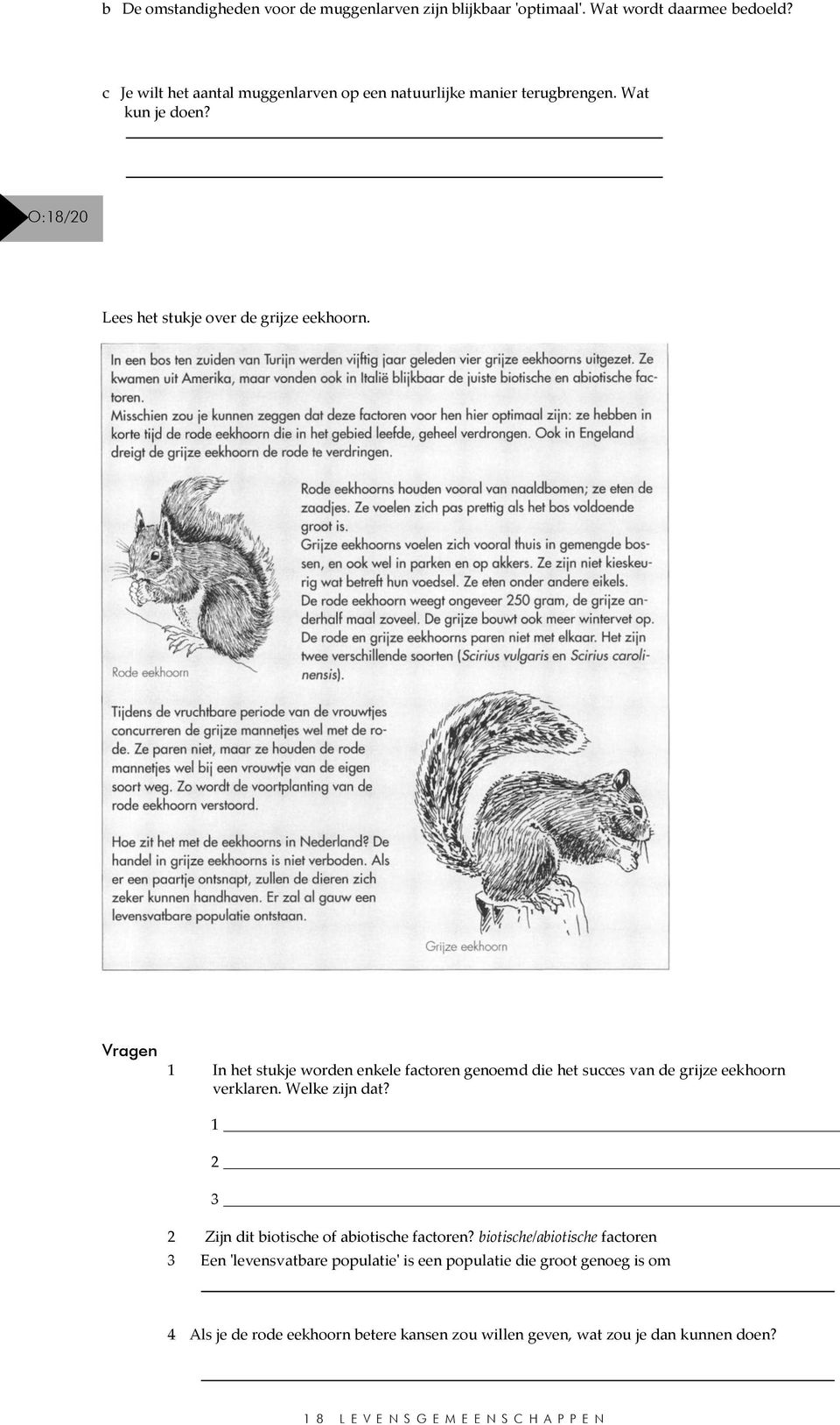 Vragen 1 In het stukje worden enkele factoren genoemd die het succes van de grijze eekhoorn verklaren. Welke zijn dat?