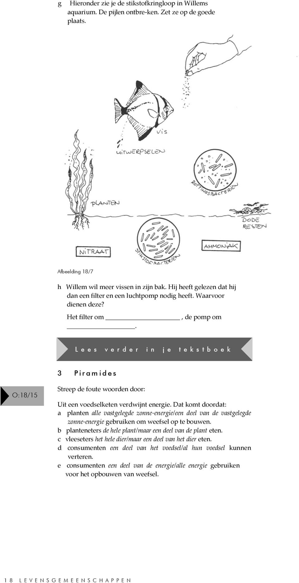 L e e s v e r d e r i n j e t e k s t b o e k 3 P i r a m i d e s O:18/15 Streep de foute woorden door: Uit een voedselketen verdwijnt energie.