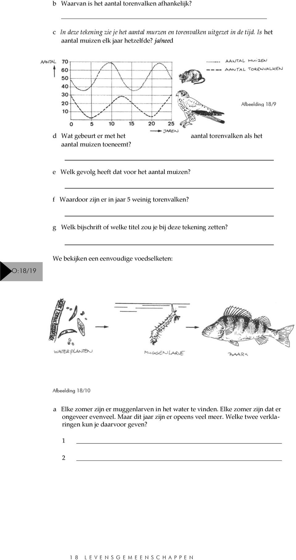 f Waardoor zijn er in jaar 5 weinig torenvalken? g Welk bijschrift of welke titel zou je bij deze tekening zetten?