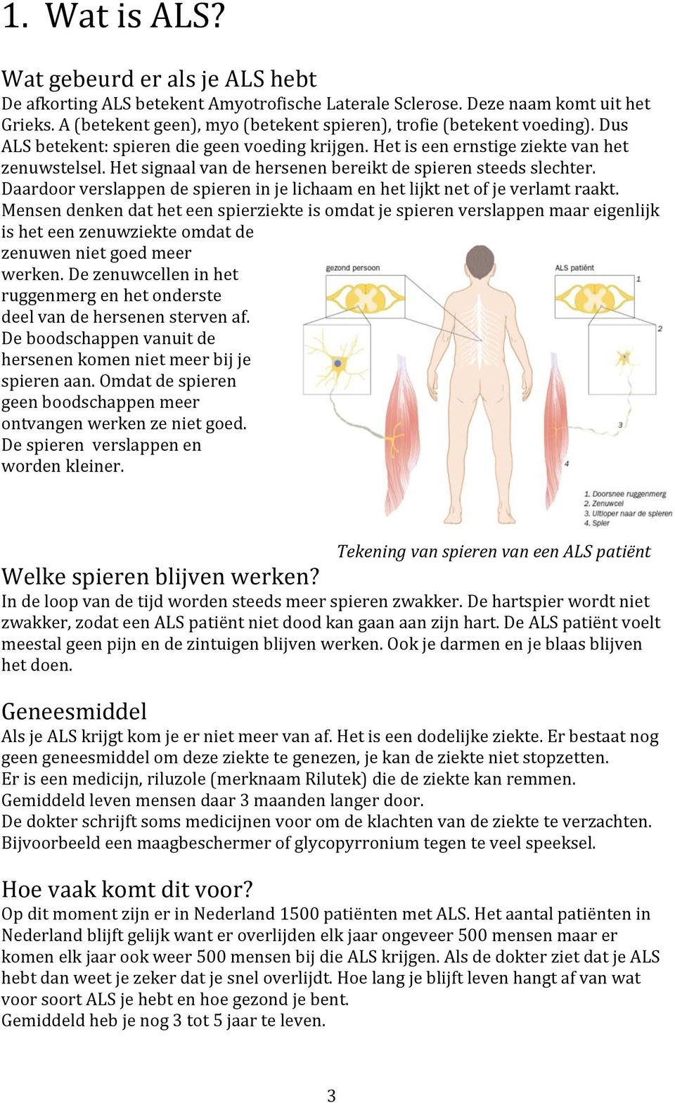 Het signaal van de hersenen bereikt de spieren steeds slechter. Daardoor verslappen de spieren in je lichaam en het lijkt net of je verlamt raakt.