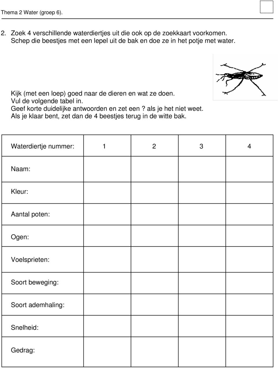 Kijk (met een loep) goed naar de dieren en wat ze doen. Vul de volgende tabel in. Geef korte duidelijke antwoorden en zet een?