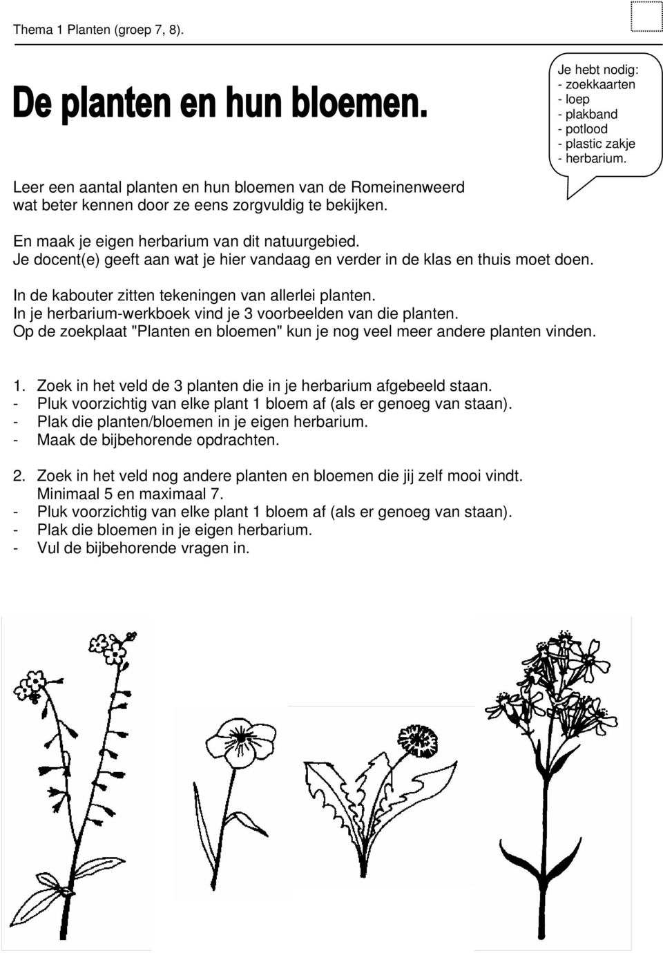 Je docent(e) geeft aan wat je hier vandaag en verder in de klas en thuis moet doen. In de kabouter zitten tekeningen van allerlei planten.