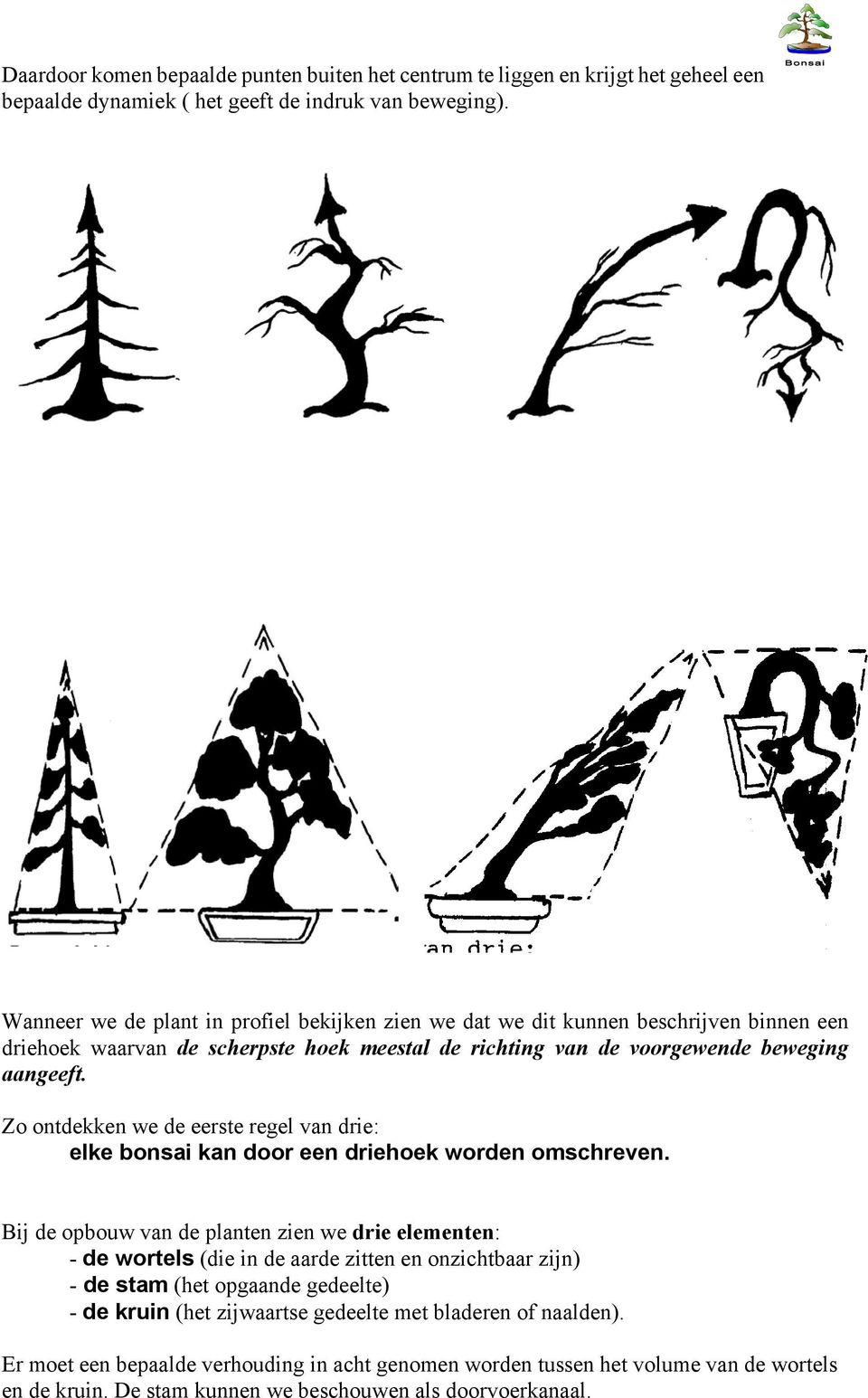 Zo ontdekken we de eerste regel van drie: elke bonsai kan door een driehoek worden omschreven.