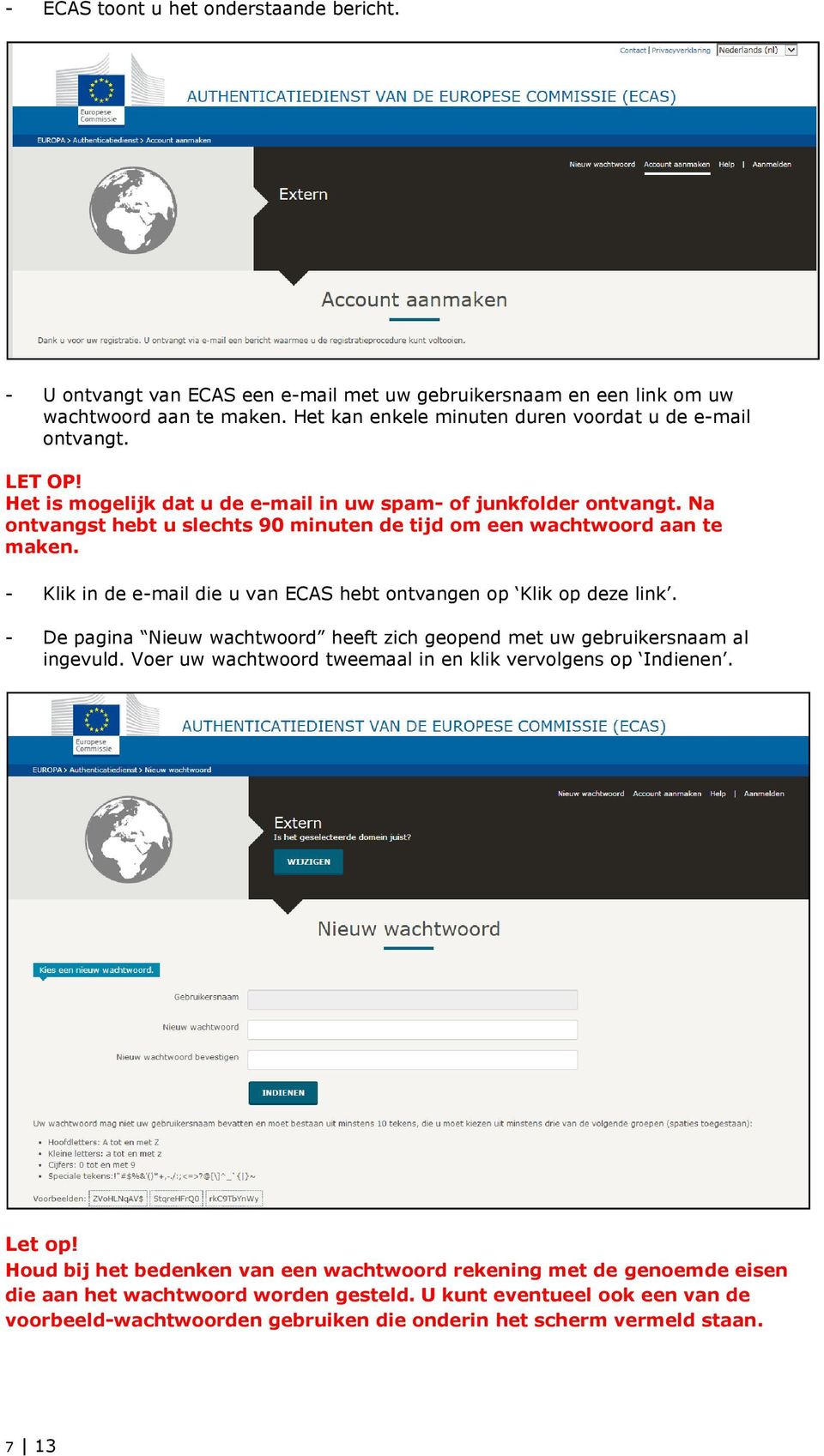 - Klik in de e-mail die u van ECAS hebt ontvangen op Klik op deze link. - De pagina Nieuw wachtwoord heeft zich geopend met uw gebruikersnaam al ingevuld.