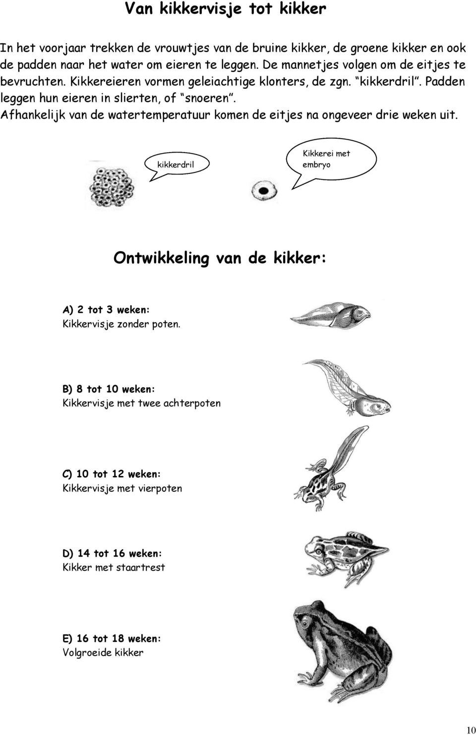 Afhankelijk van de watertemperatuur komen de eitjes na ongeveer drie weken uit.