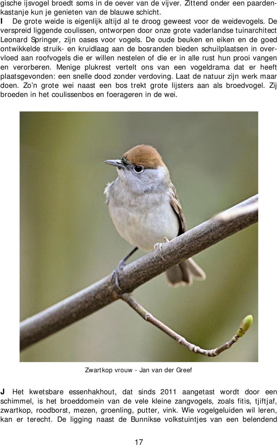 De verspreid liggende coulissen, ontworpen door onze grote vaderlandse tuinarchitect Leonard Springer, zijn oases voor vogels.