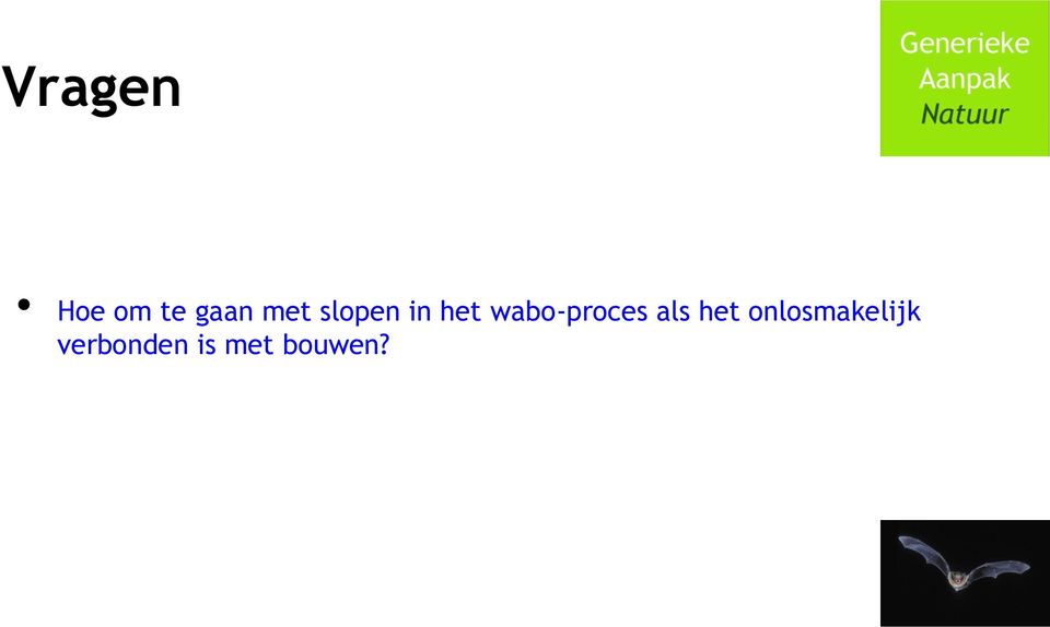 wabo-proces als het