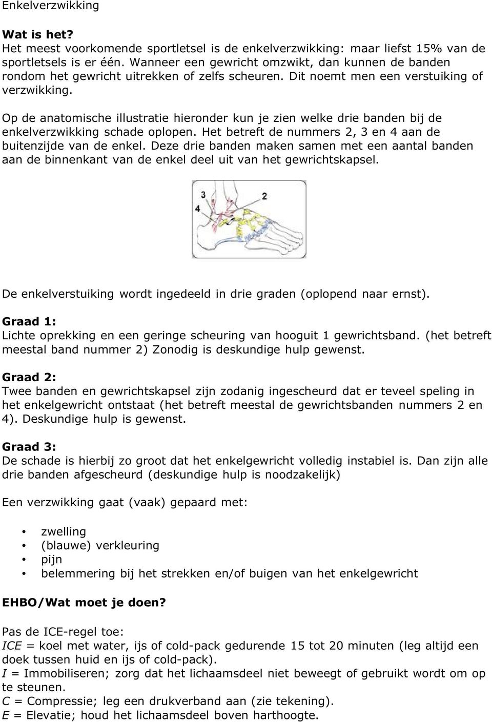 Op de anatomische illustratie hieronder kun je zien welke drie banden bij de enkelverzwikking schade oplopen. Het betreft de nummers 2, 3 en 4 aan de buitenzijde van de enkel.