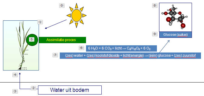 Hendrix UTD Agro Jaarbemesting Zomer Jan Feb Mrt Apr Mei Jun Jul Aug Sep Okt Nov Dec Produceren