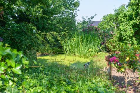 TE KOOP Rietgedekte boerderij met 4 schuren, een pony, vrij uitzicht op 5.535 m² eigen grond 275.