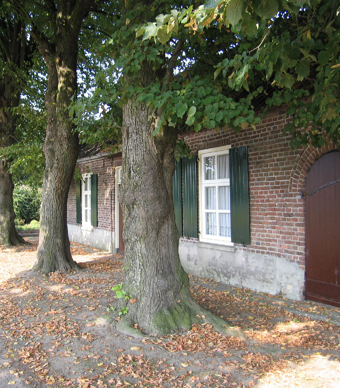 Negatieve uitzonderingen: Bomen of houtopstanden (in beide gevallen erfbeplantingen) die vallen onder het convenant Nieuw groen = Vrij groen zijn uitgezonderd van plaatsing op de lijst van