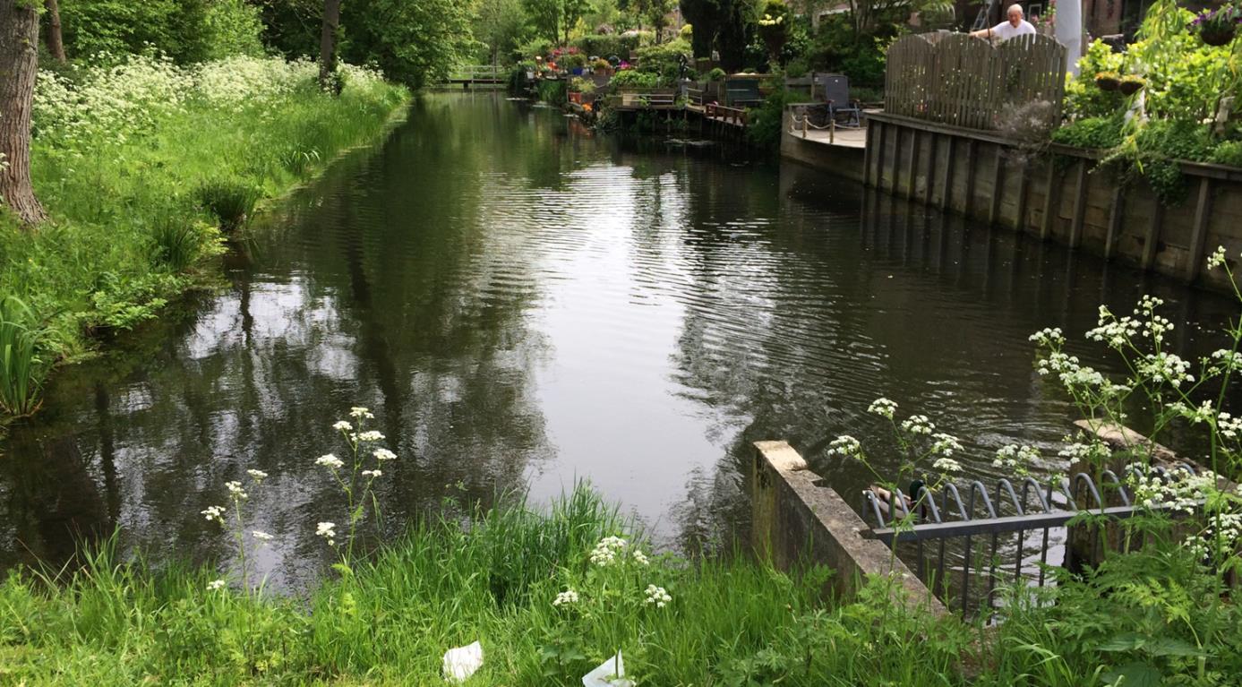 Een betere ecologische waterkwaliteit in de stad met verbeterd gescheiden rioolstelsels?
