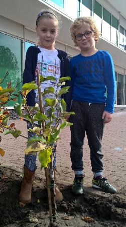 Een boom geplant als teken van hoop Op zes christelijke basisscholen in Meppel is op vrijdag 30 oktober een appelboompje geplant.