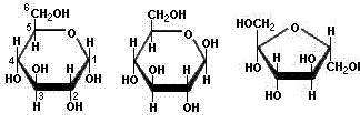 Vetreductie Koolhydraten Monosacchariden e.g.
