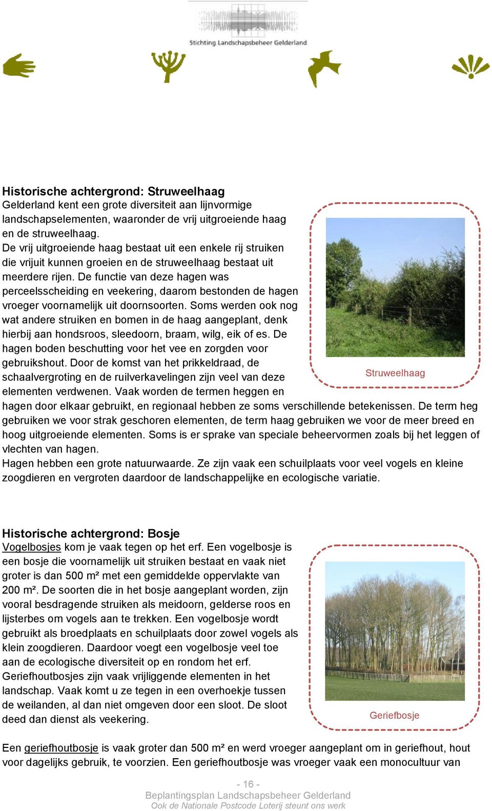 De functie van deze hagen was perceelsscheiding en veekering, daarom bestonden de hagen vroeger voornamelijk uit doornsoorten.