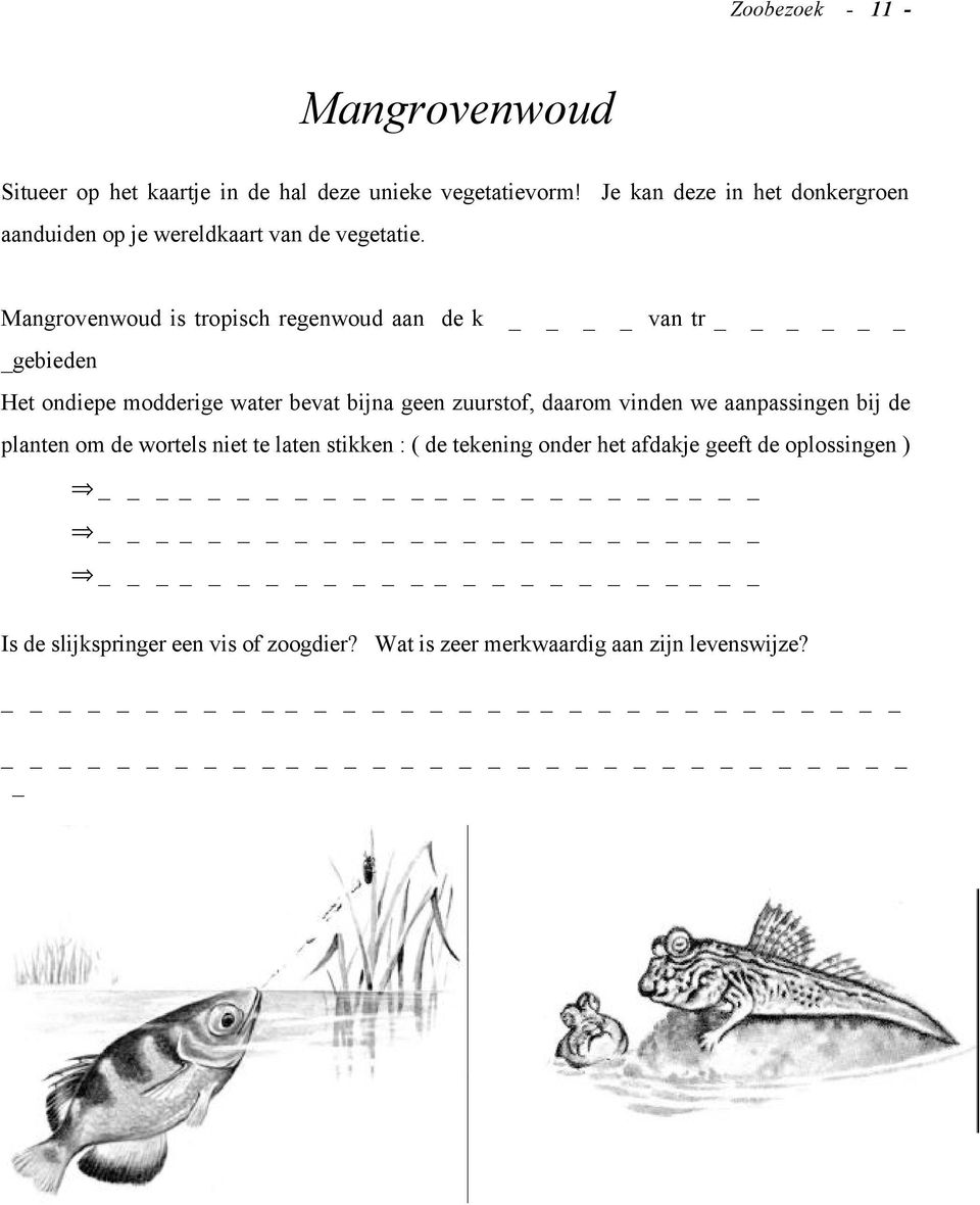 Mangrovenwoud is tropisch regenwoud aan de k van tr _gebieden Het ondiepe modderige water bevat bijna geen zuurstof, daarom