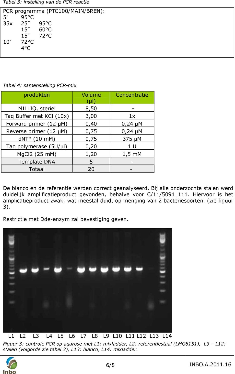polymerase (5U/µl) 0,20 1 U MgCl2 (25 mm) 1,20 1,5 mm Template DNA 5 - Totaal 20 - De blanco en de referentie werden correct geanalyseerd.