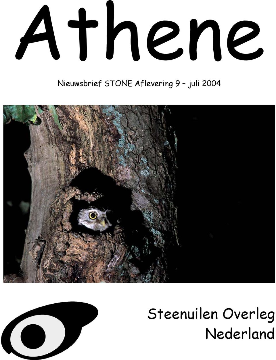 2004 Steenuilen