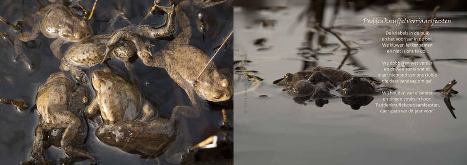 We dobberen wat verder en drijven soms wat af, maar niemand van ons clubje die daar